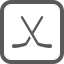 College Hockey Rink College Hockey Rink